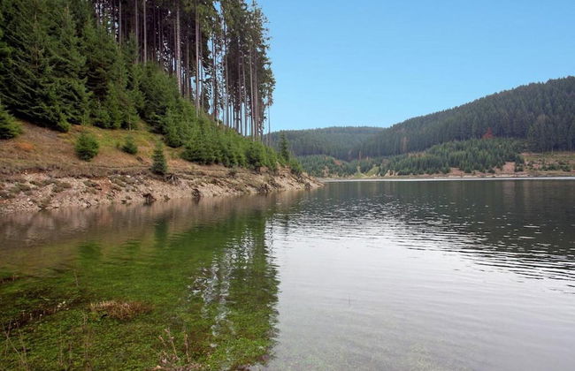 Ferienwohnung mit Sauna in Schonbrunn Thuringen - Foto 32