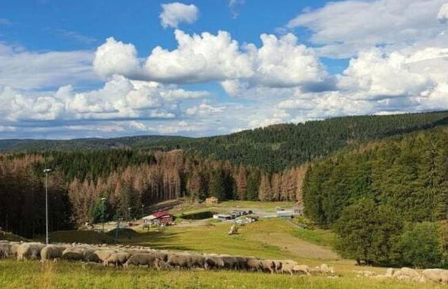 Ferienhaus im Thuringer Wald - Foto 31