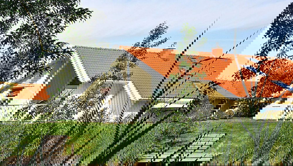 Imagem principal