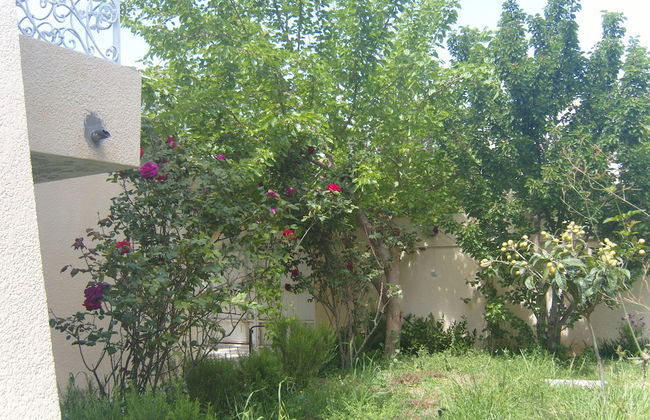 Kantaoui - Foto 16