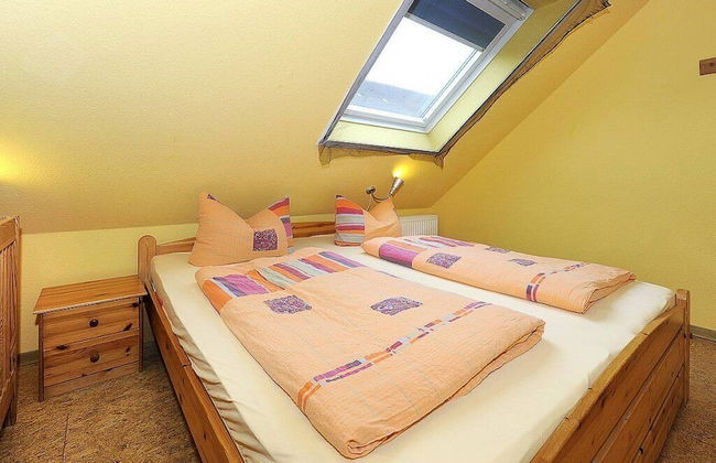 Reiterhof Maack - Foto 20