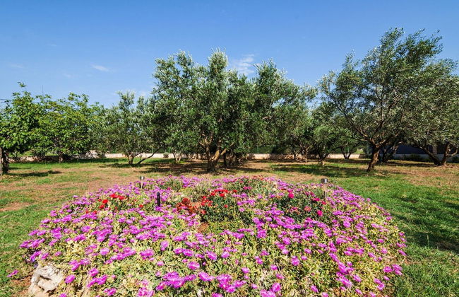 Villa Chervil Zadarvillas - Foto 50