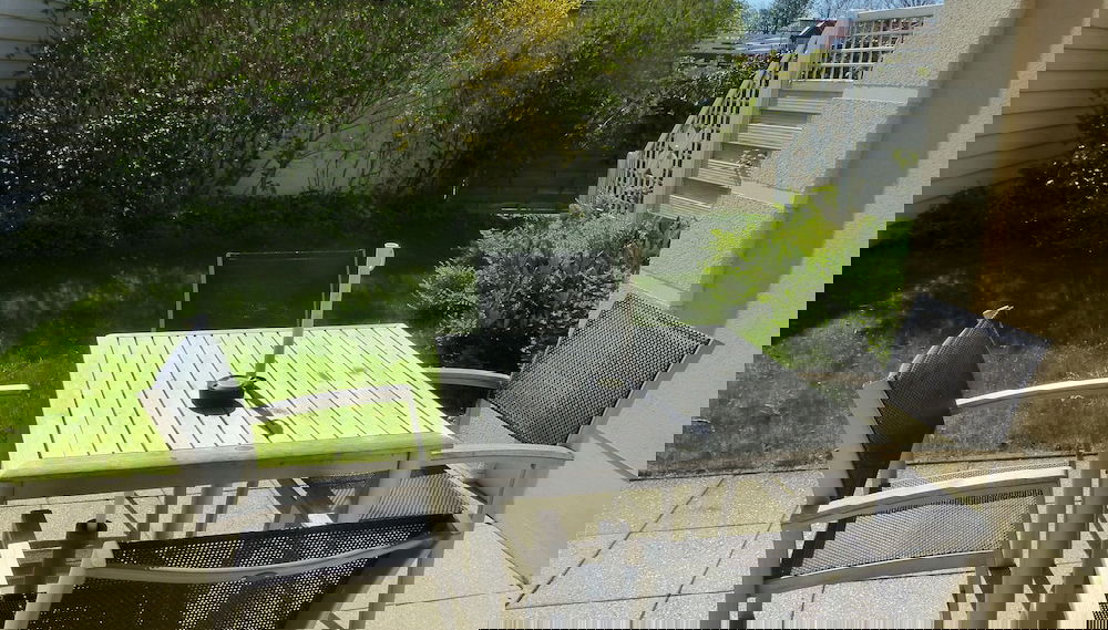 Primary image