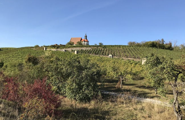 Ferienwohnungen Scheuring - Foto 49