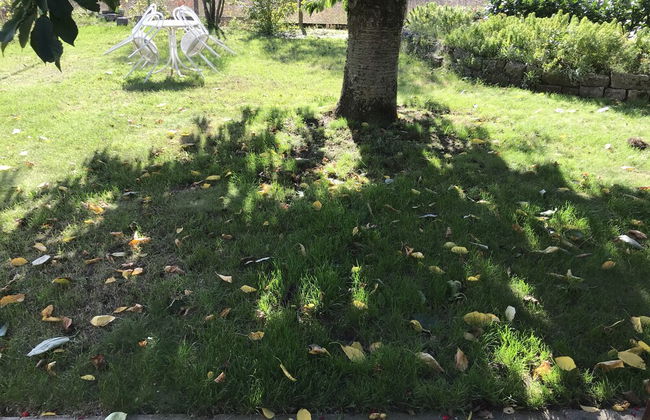 Ferienwohnungen Scheuring - Foto 42