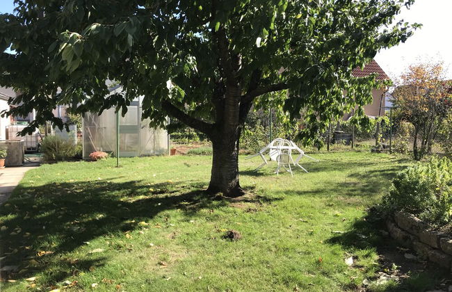 Ferienwohnungen Scheuring - Foto 44