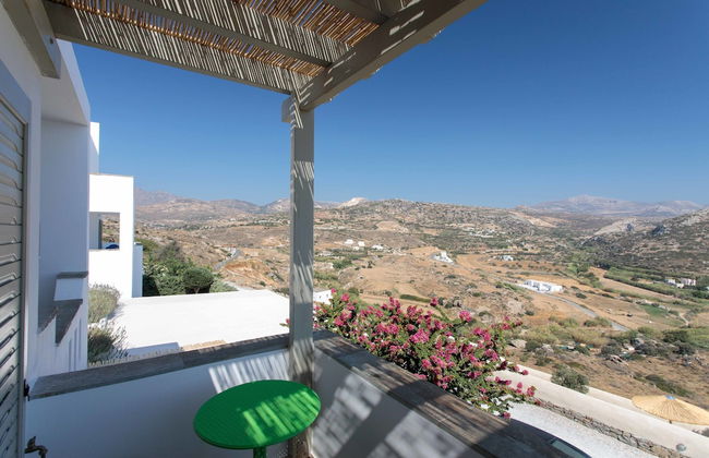 Halcyon Suites and Villas Naxos - Foto 60