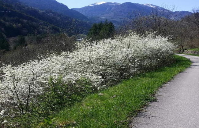 Flat by Lake Iseo With Mountain Views - Foto 34