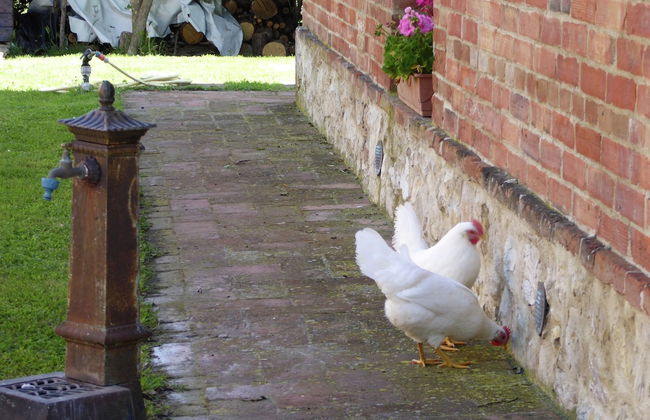 Rustic Escape With Pool - Foto 28