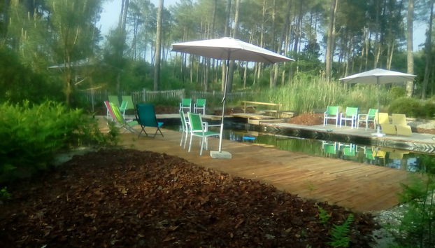 Piscina natural
