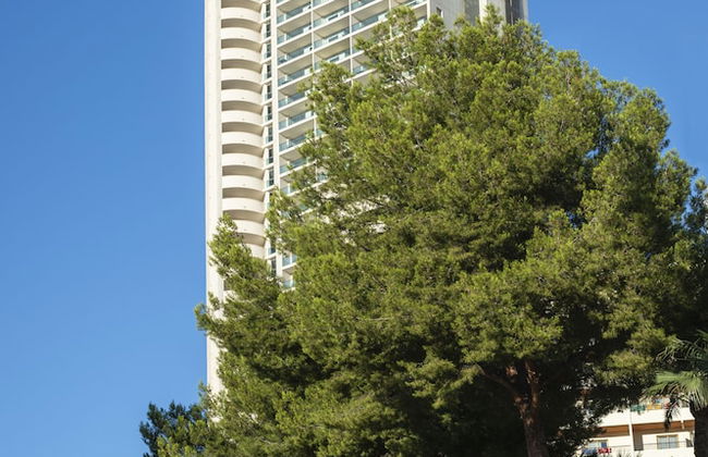 Pierre & Vacances Benidorm Horizon - Photo 21