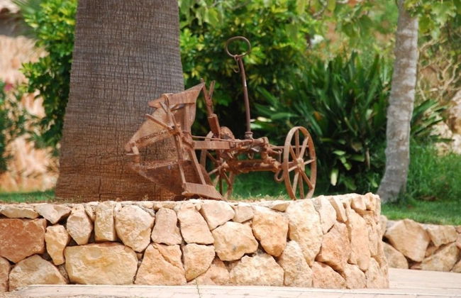 Agroturismo Finca Son Amora - Photo 25