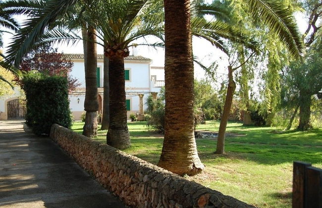 Agroturismo Finca Son Amora - Photo 27