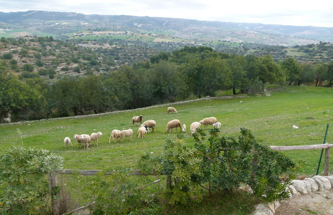 Villa Gaia Agriturismo and B&b - Foto 51