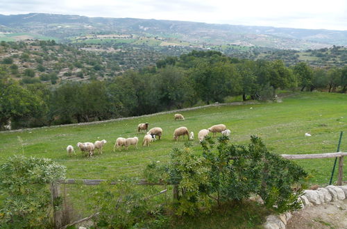 Photo 50 - Villa Gaia Agriturismo and B&b