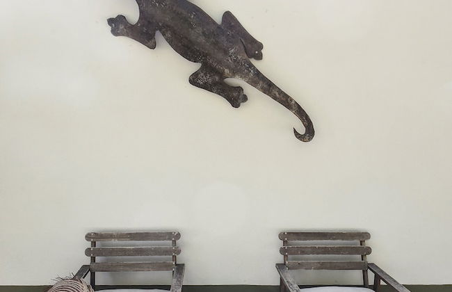 Vumba - House of the Lizard - Foto 9