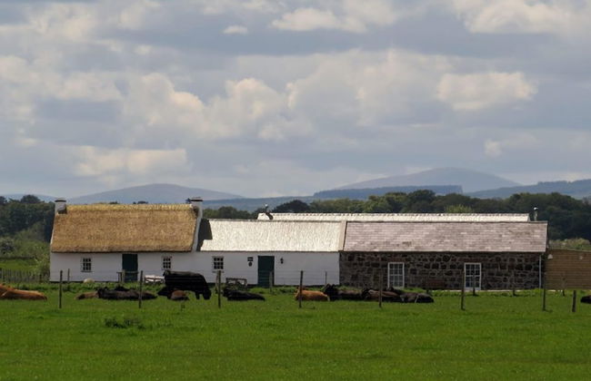 Ballymultimber Cottages - Foto 39