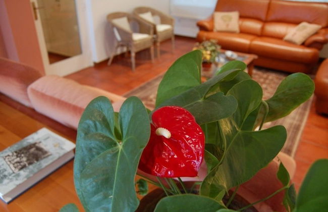 Casa a 15 minutos de la playa, con jardin privado y piscina - Foto 27