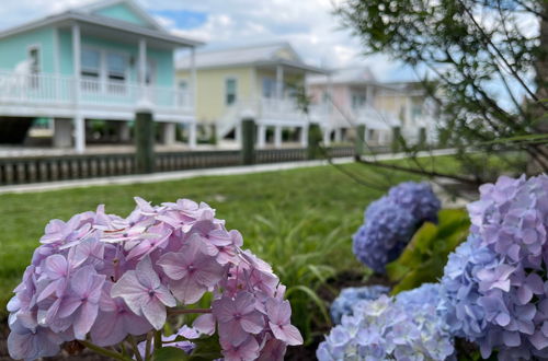 Photo 32 - Key West Cottages