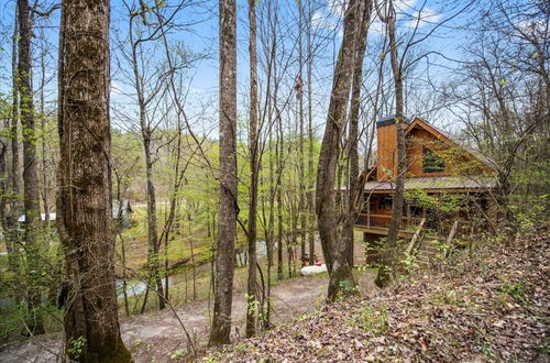 Photo 25 - Bear Necessities-cozy Cabin Beside Briar Creek Fire pit Wifi and pet Friendly