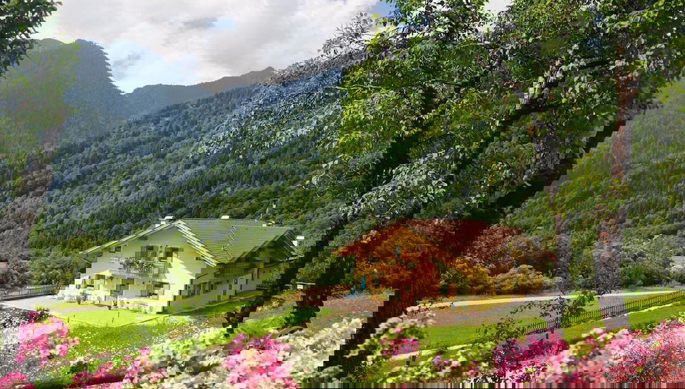 Imagem principal