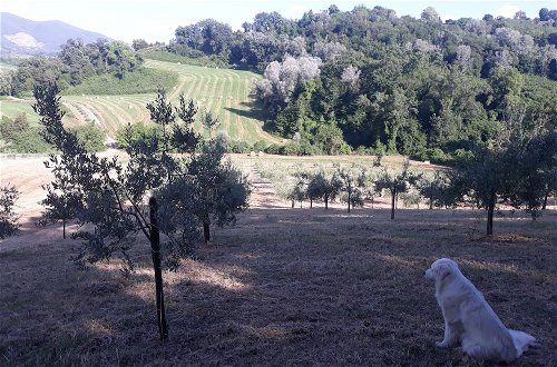 Foto 11 - Agriturismo Valle d'Ambrosia