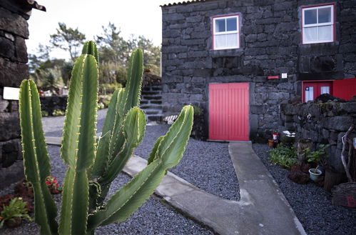 Foto 41 - Casas de Campo Alto da Bonança