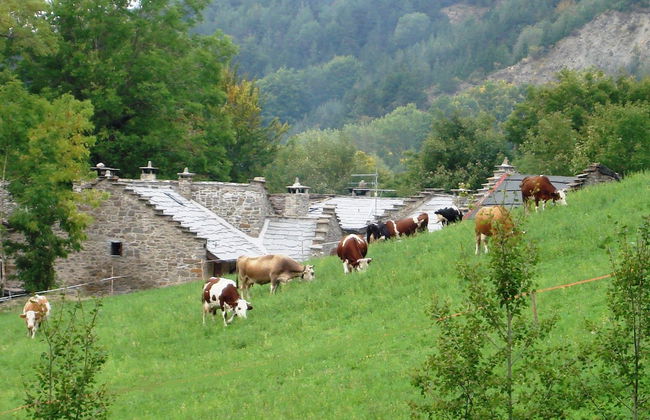 Residence Cimone - Foto 62