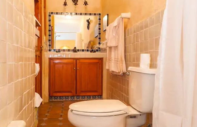 Beautiful 1 Bedroom apt @ San Miguel Allende - Foto 10