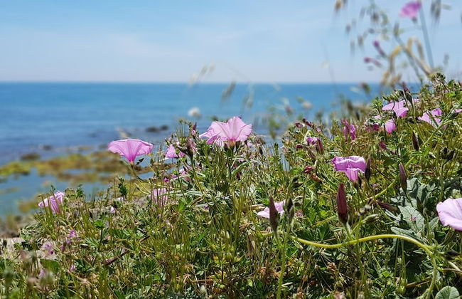 Exquisite Calahonda Beach Studio - Photo 28