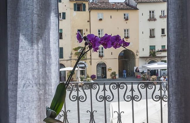 B&B Arena di Lucca - Foto 27