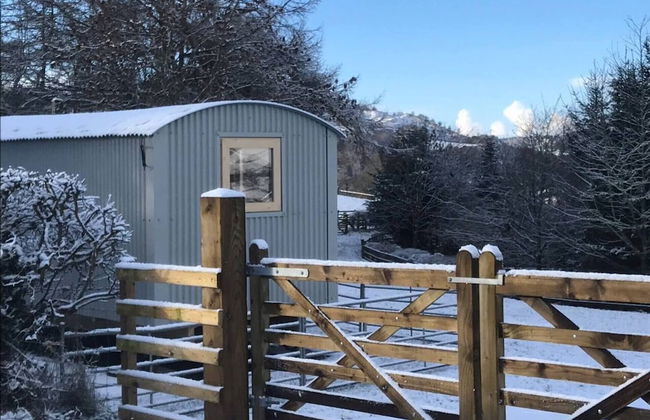 The Shepherds Hut at Hafoty Boeth - Foto 39