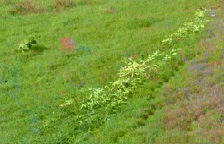 Photo 26 - Agriturismo Belmonte Vacanze