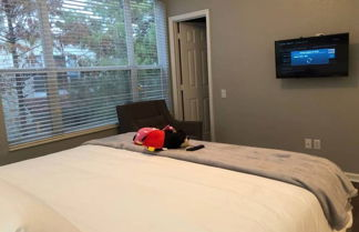 Photo 3 - Tideview 66 · NEW Luxury 3 Suites Resort Home. Sleep 9