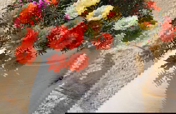 Dépendance in Villa Karmel - Foto 17