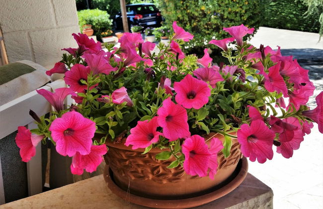 Dépendance in Villa Karmel - Foto 21