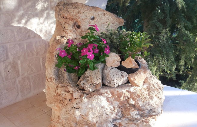 Dépendance in Villa Karmel - Foto 16