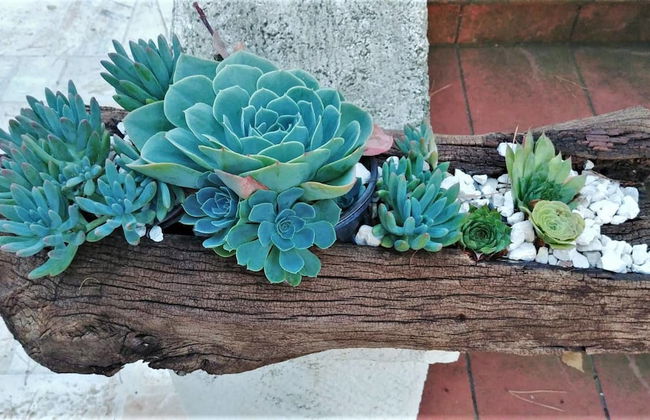 Dépendance in Villa Karmel - Foto 19