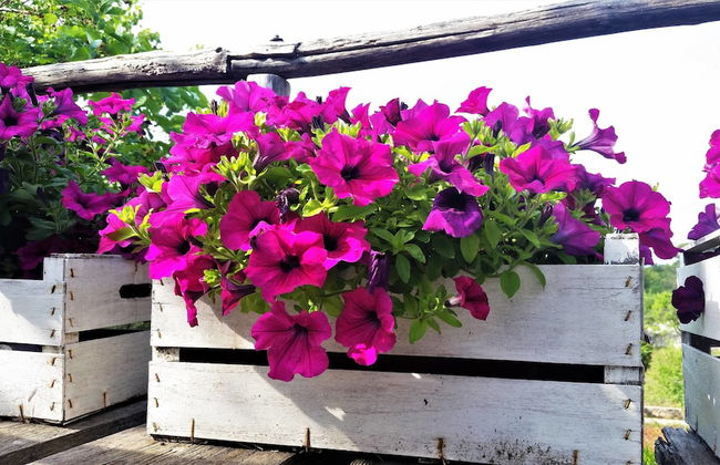 Dépendance in Villa Karmel - Foto 22