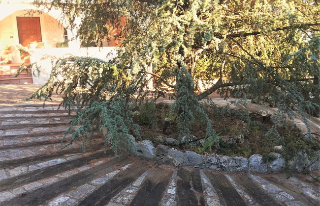 Dépendance in Villa Karmel - Foto 10