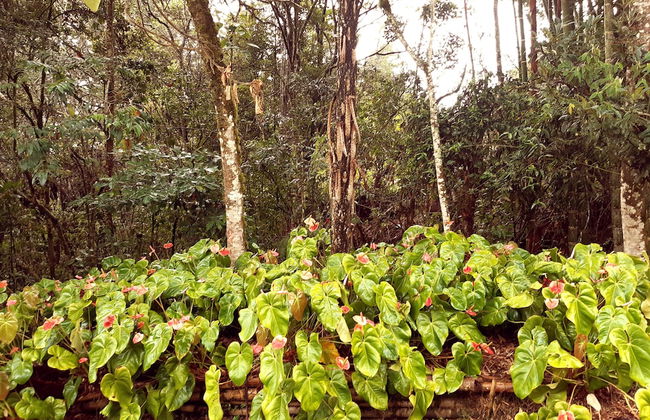 Casa Jade - Foto 26