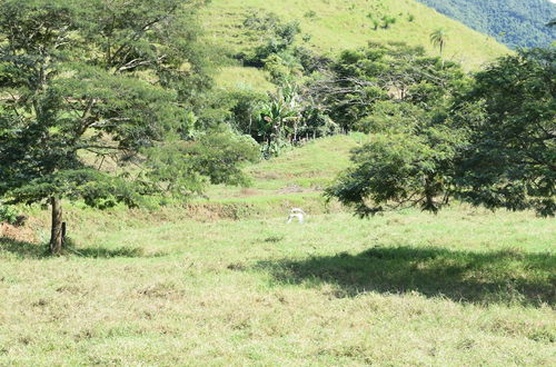 Photo 43 - Fazenda São Fernando