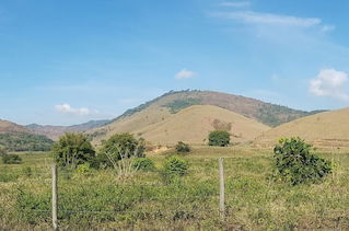 Photo 39 - Fazenda São Fernando