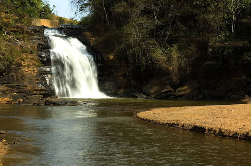 Photo 46 - Fazenda São Fernando