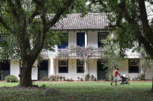 Photo 80 - Fazenda São Fernando