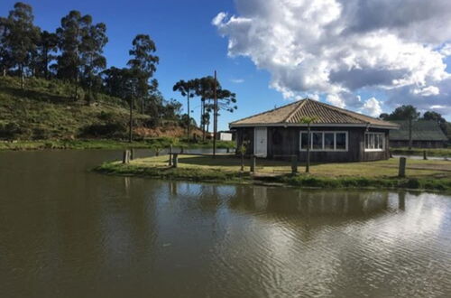 Photo 6 - Hotel Fazenda Pampas