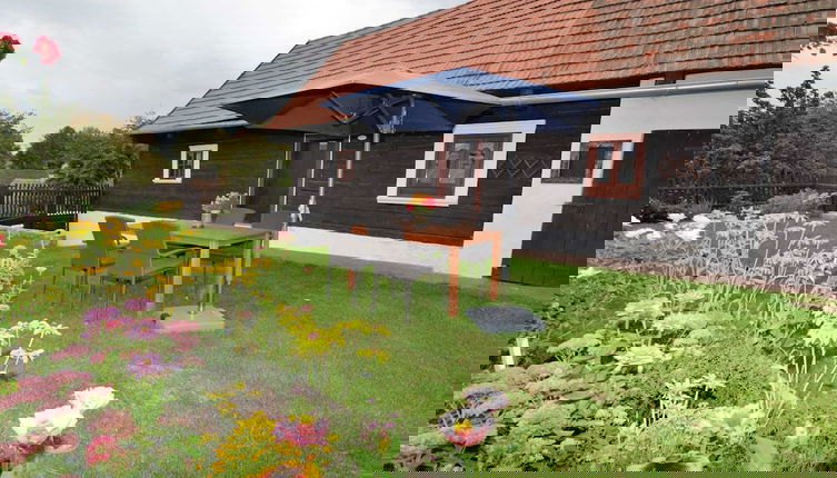 Foto 1 - Holiday Home in Petrohrad With Private Pool