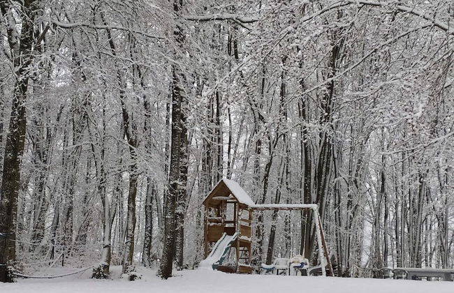 New House on the Edge of a Large Forest, Large Garden,very Quiet, Beautiful Area - Foto 29