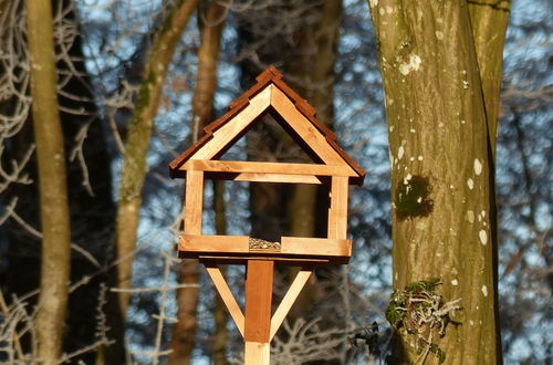 Photo 25 - New House on the Edge of a Large Forest, Large Garden,very Quiet, Beautiful Area