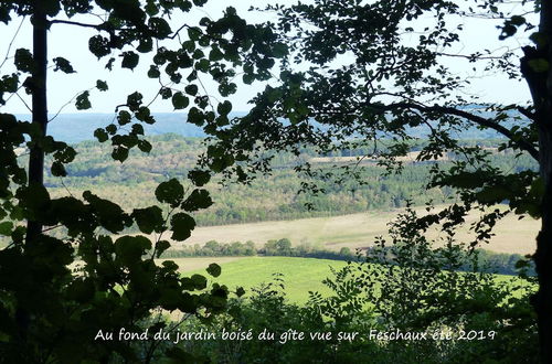 Photo 39 - New House on the Edge of a Large Forest, Large Garden,very Quiet, Beautiful Area